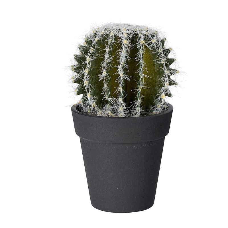 Cactus bol - 14 cm 
