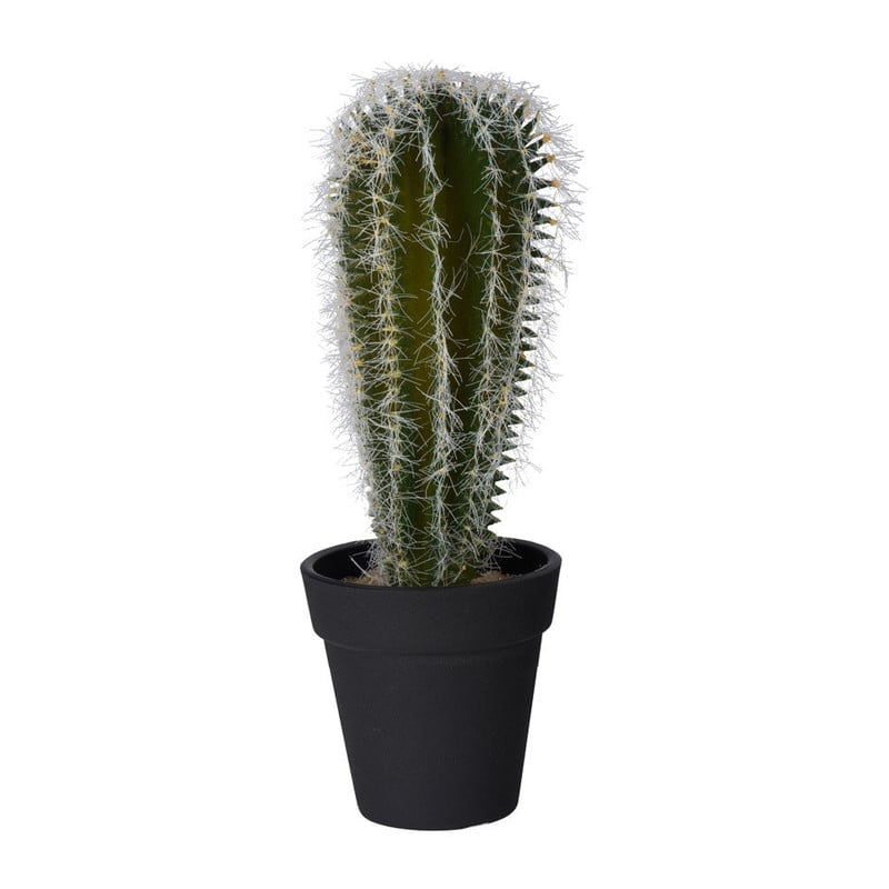 Cactus bol - 21.5 cm 