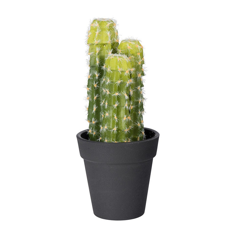 Cactus 3 takken - 18 cm 