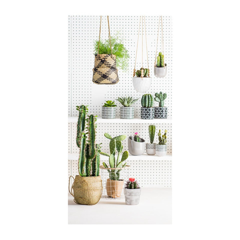 Cactus discs - 60 cm