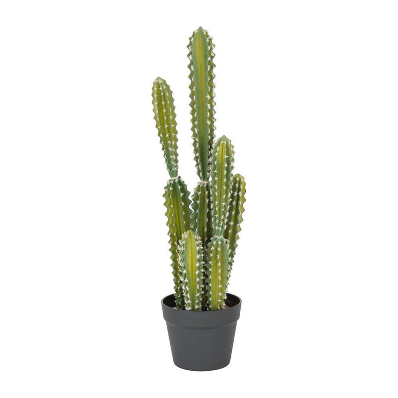 Cactus 6 takken – 68 cm