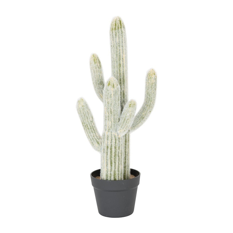 Cactus 2 takken - 64 cm