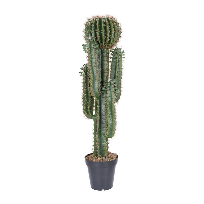 Cactus XL met bol - 120 cm 