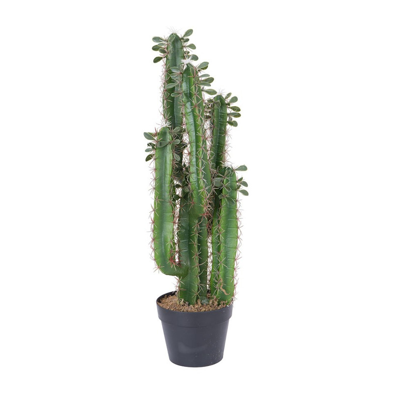 Cactus - 75 cm 