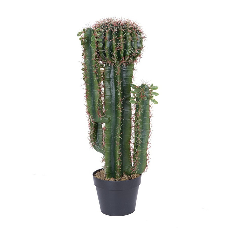 Cactus met bol - 75 cm 