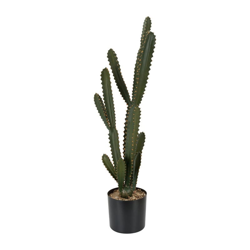 Cactus – 103cm