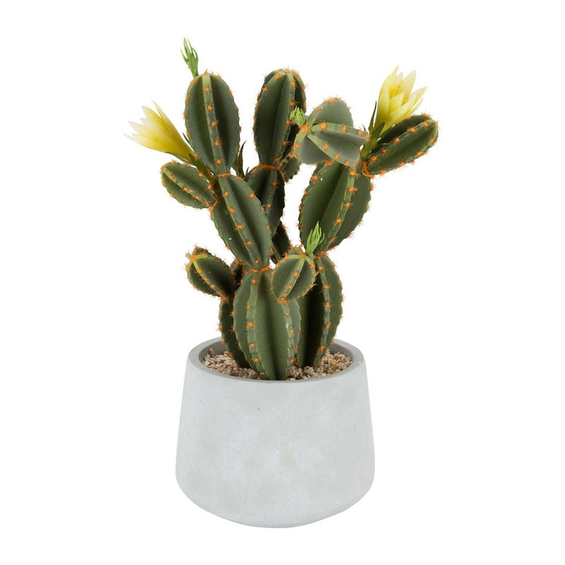 Cactus met bloem in cement pot – 43cm