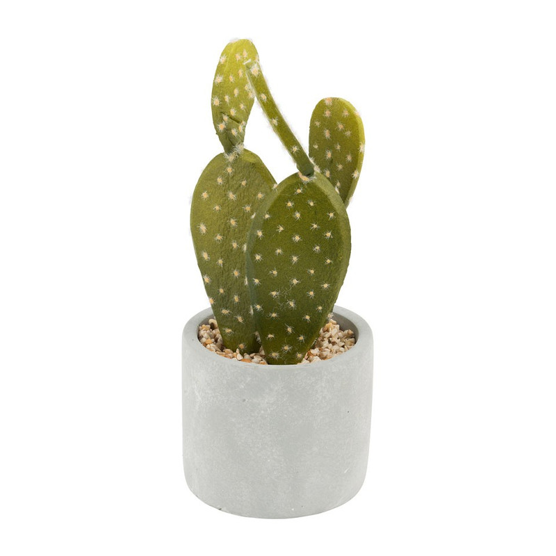Cactus in pot – 10x25 cm