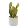 Cactus in pot – 10x25 cm