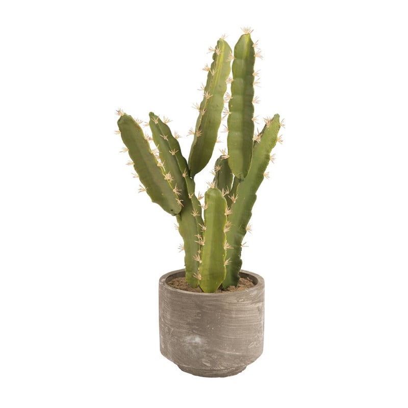 Cactus - 65 cm 