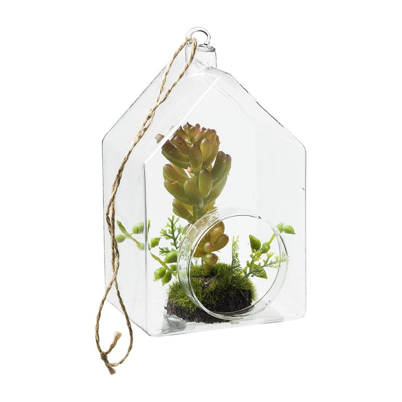 Vetplant in huisje