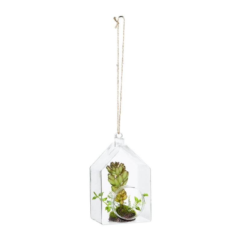 Vetplant in huisje