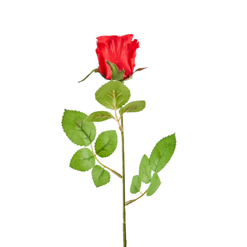 Mercedesroos - rood - 49 cm
