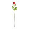 Mercedesroos - rood - 49 cm