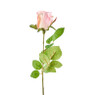Mercedesroos - roze - 49 cm
