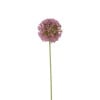 Kunstbloem allium - paars - 64 cm