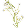 Slinger bloemen margriet - wit/geel - 210 cm