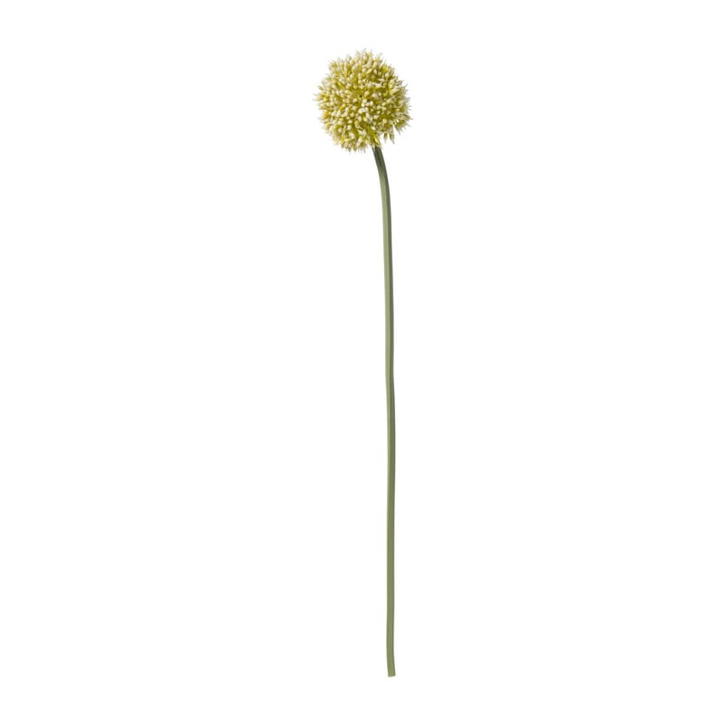 Kunstbloem allium - groen/wit - 50 cm