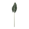 Alocasia blad - 86 cm 