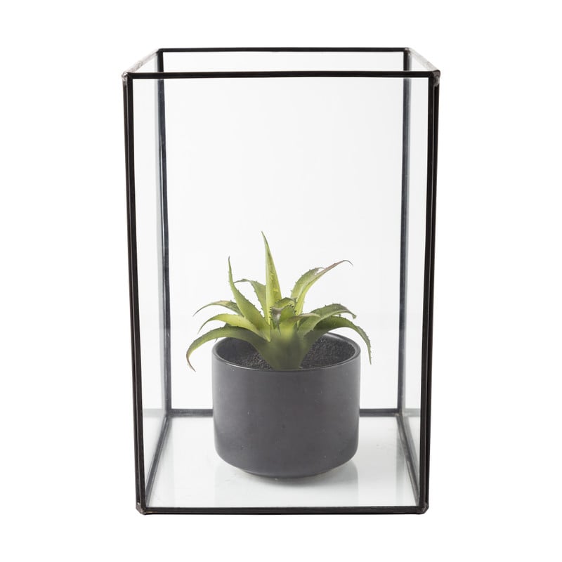 Terrarium rechthoekig - glas - 18x18x27 cm