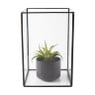 Terrarium rechthoekig - glas - 18x18x27 cm