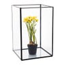 Terrarium rechthoekig - glas - 18x18x27 cm