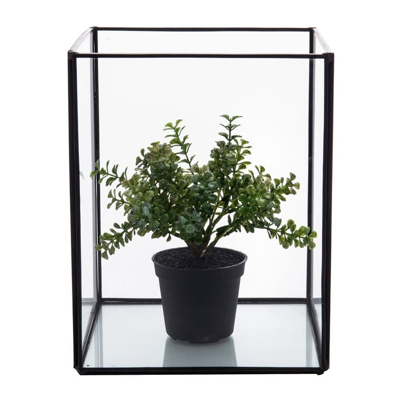 Terrarium vierkant - glas - 15x15x19 cm