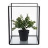 Terrarium vierkant - glas - 15x15x19 cm