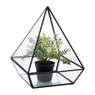 Terrarium driehoek - glas - 17x17x21,5 cm