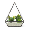Terrarium driehoek - glas - 17x17x21,5 cm