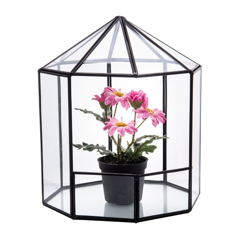 Terrarium achthoek - glas - 19,5x18x23 cm
