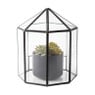 Terrarium achthoek - glas - 19,5x18x23 cm