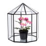 Terrarium achthoek - glas - 19,5x18x23 cm