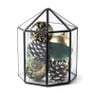 Terrarium achthoek - glas - 19,5x18x23 cm