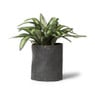 Bloempot leer- diverse kleuren - 12.5x14 cm 