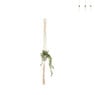 Macrame plantenhanger - diverse varianten - 110x5x0,5 cm
