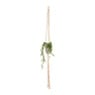 Macrame plantenhanger - diverse varianten - 110x5x0,5 cm