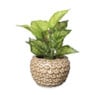 Bloempot blad - beige - ø17,3x12,6 cm 