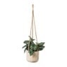 Hangende plantenpot - hout - ⌀14x12 cm 
