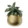 Plantenpot gehamerd - goud - 18x18x22 cm 
