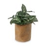 Plantenpot leer - bruin - 12.5x12.5x14 cm 