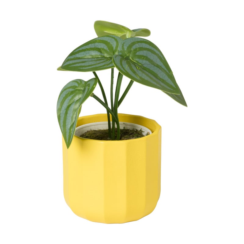 Bloempotje streep - geel - ø7x6.5 cm