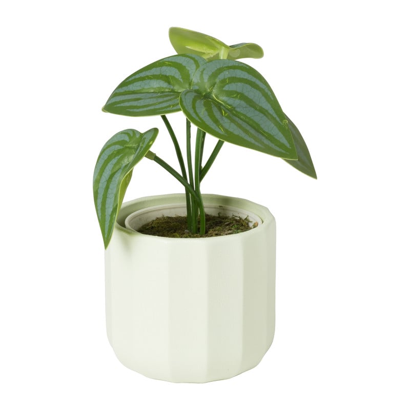 Bloempotje streep - groen - ø7x6.5 cm