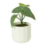 Bloempotje streep - groen - ø7x6.5 cm