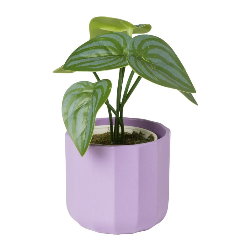 Bloempotje streep - paars - ø7x6.5 cm