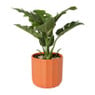 Bloempot streep - rood - ø11.5x11 cm