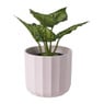 Bloempot streep - roze - ø13.5x12.6 cm