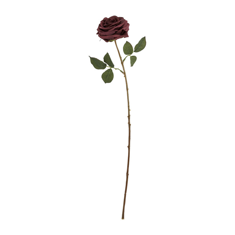 Roos donkerrood - 66 cm