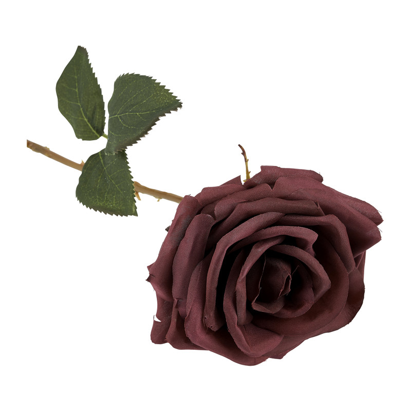 Roos donkerrood - 66 cm