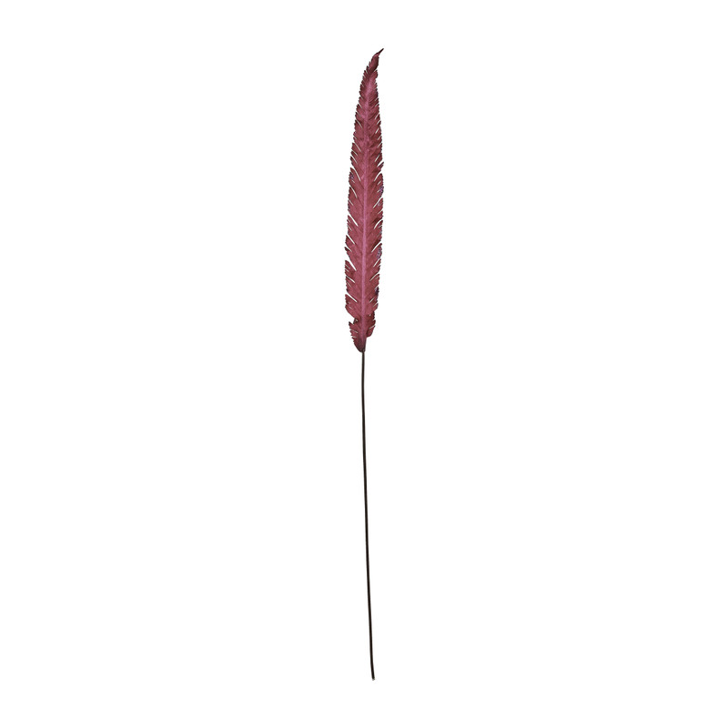 Veer bordeaux - 66 cm